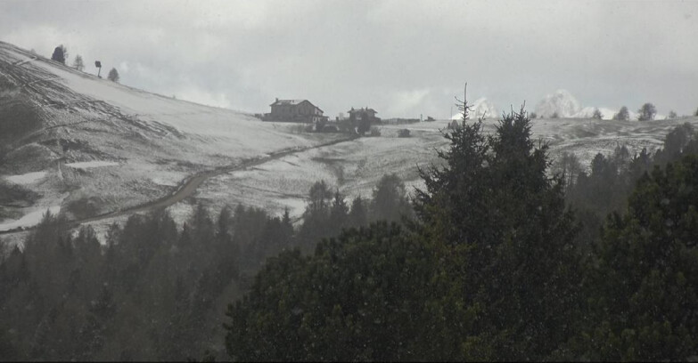 Webcam Bellamonte-Alpe Lusia  - Pista Dolomitica
