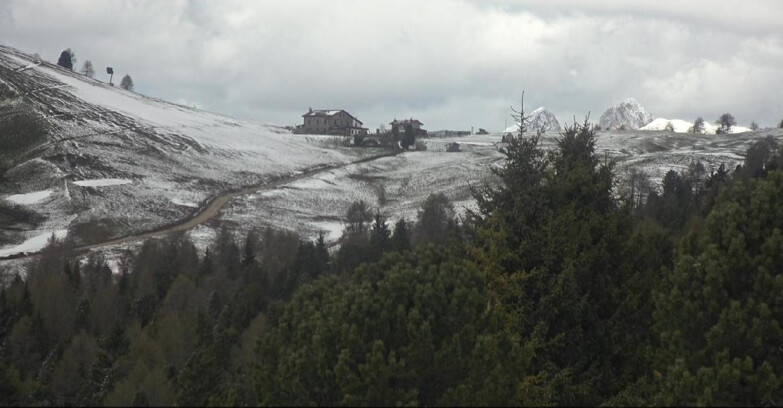 Webcam Bellamonte-Alpe Lusia  - Pista Dolomitica