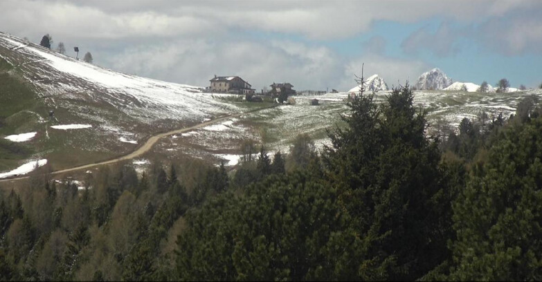 Webcam Bellamonte-Alpe Lusia  - Pista Dolomitica