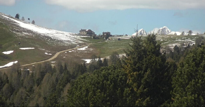 Webcam Bellamonte-Alpe Lusia  - Pista Dolomitica