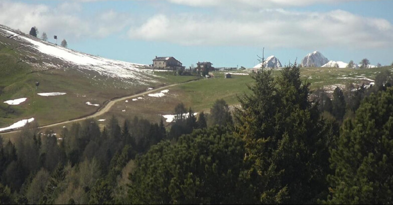 Webcam Bellamonte-Alpe Lusia  - Pista Dolomitica