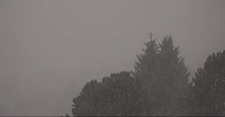 Webcam Bellamonte-Alpe Lusia  - Pista Dolomitica