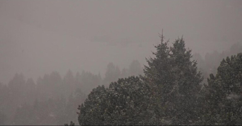 Webcam Bellamonte-Alpe Lusia  - Pista Dolomitica