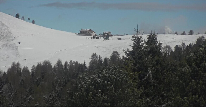 Webcam Bellamonte-Alpe Lusia  - Pista Dolomitica