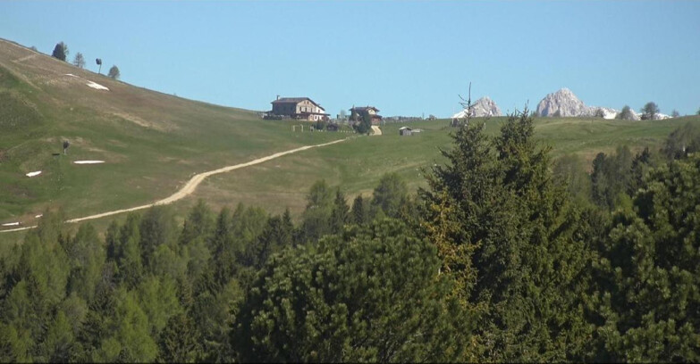 Webcam Bellamonte-Alpe Lusia  - Pista Dolomitica