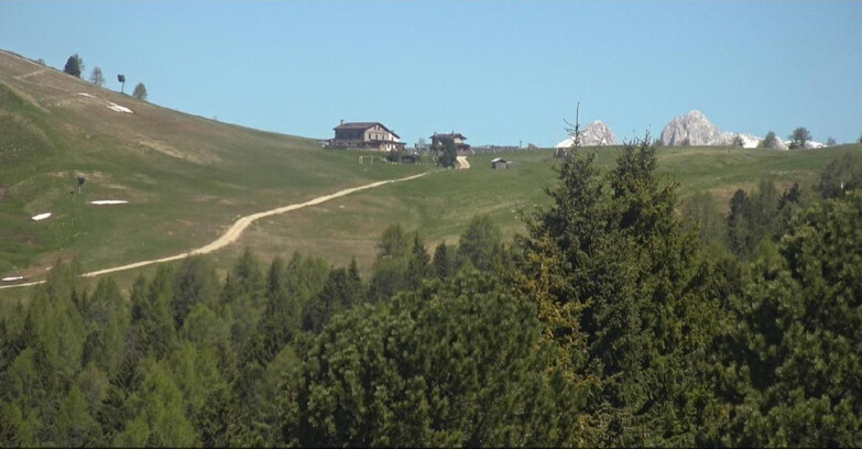 Webcam Bellamonte-Alpe Lusia  - Pista Dolomitica