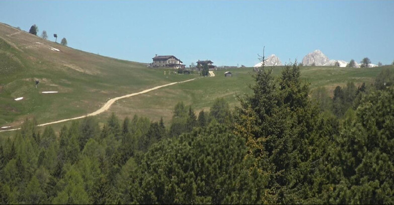 Webcam Bellamonte-Alpe Lusia  - Pista Dolomitica