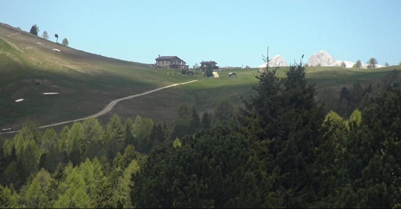 Webcam Bellamonte-Alpe Lusia  - Pista Dolomitica