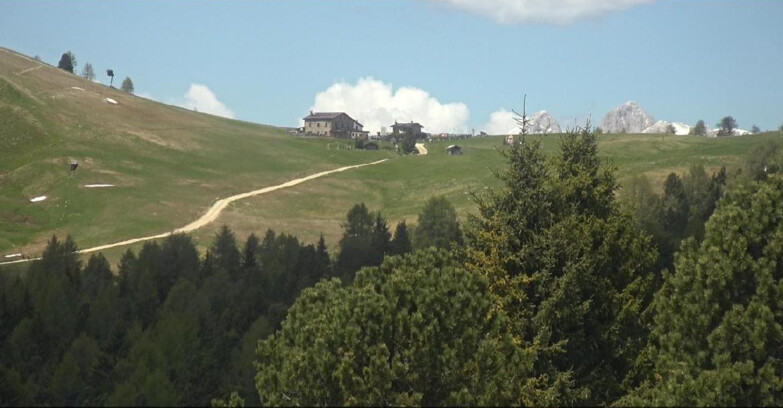 Webcam Bellamonte-Alpe Lusia  - Pista Dolomitica