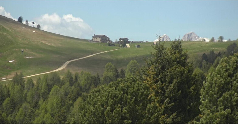 Webcam Bellamonte-Alpe Lusia  - Pista Dolomitica
