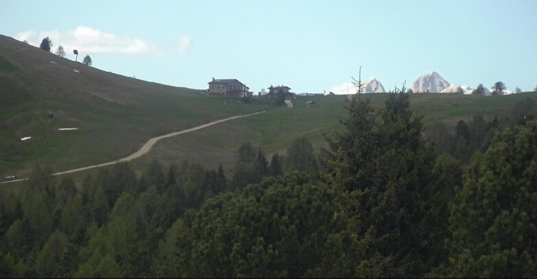 Webcam Bellamonte-Alpe Lusia  - Pista Dolomitica