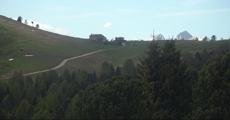 Webcam Bellamonte-Alpe Lusia  - Pista Dolomitica