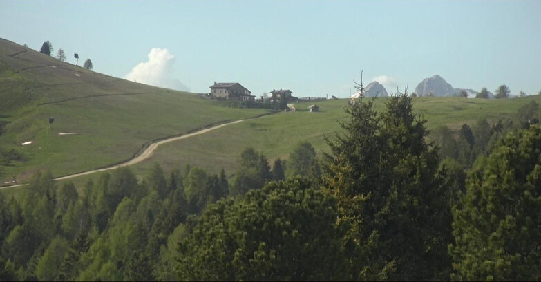 Webcam Bellamonte-Alpe Lusia  - Pista Dolomitica