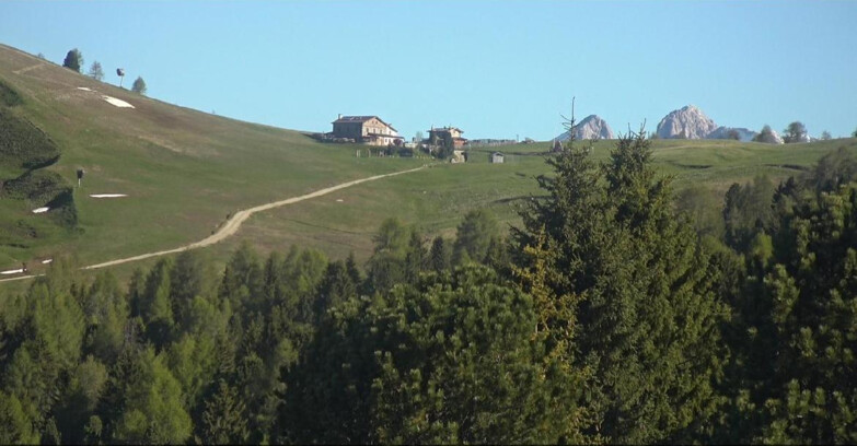 Webcam Bellamonte-Alpe Lusia  - Pista Dolomitica