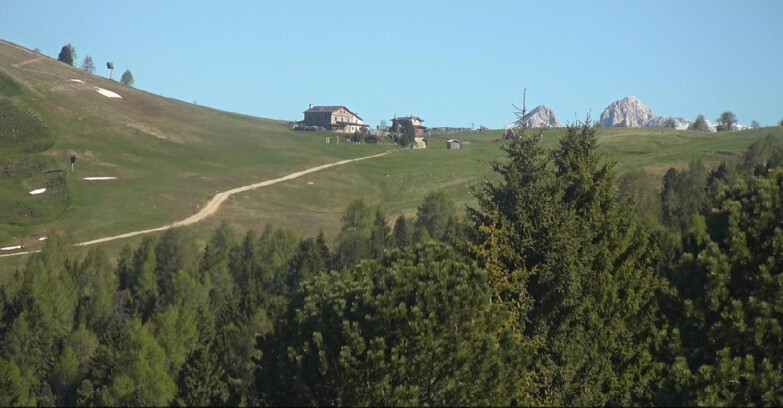 Webcam Bellamonte-Alpe Lusia  - Pista Dolomitica
