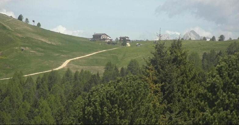 Webcam Белламонте-Альпе-Лусиа  - Pista Dolomitica