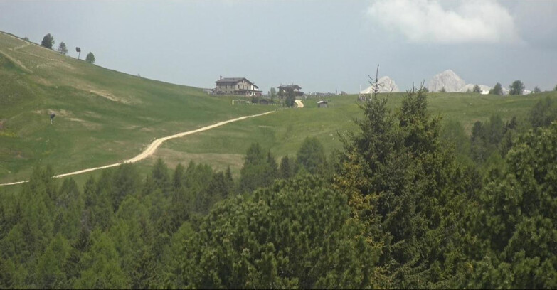 Webcam Белламонте-Альпе-Лусиа  - Pista Dolomitica