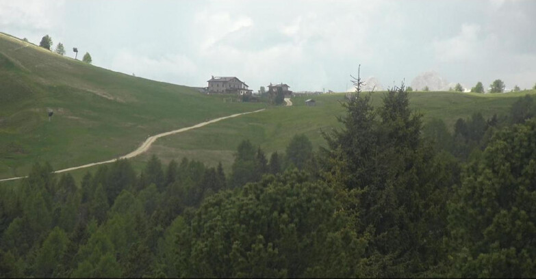 Webcam Белламонте-Альпе-Лусиа  - Pista Dolomitica
