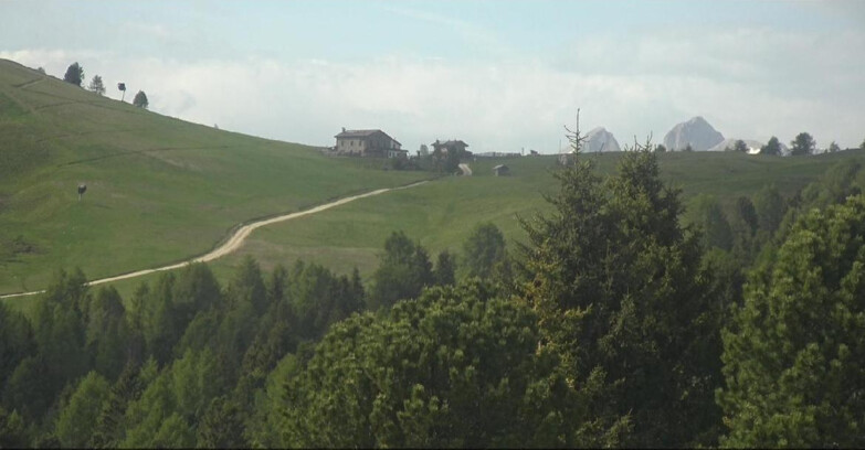 Webcam Белламонте-Альпе-Лусиа  - Pista Dolomitica