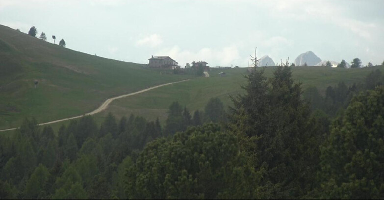 Webcam Белламонте-Альпе-Лусиа  - Pista Dolomitica