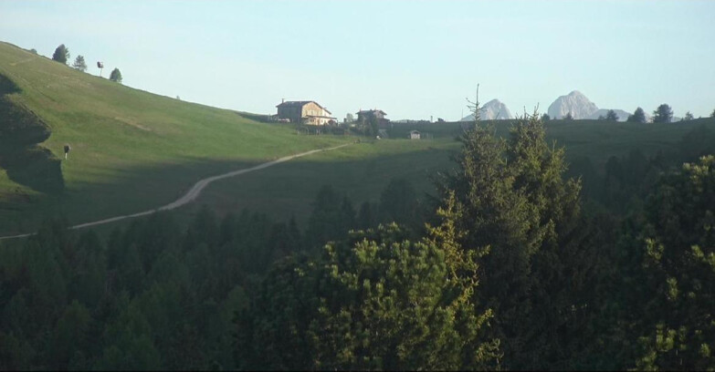 Webcam Белламонте-Альпе-Лусиа  - Pista Dolomitica