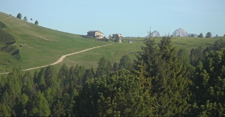 Webcam Белламонте-Альпе-Лусиа  - Pista Dolomitica