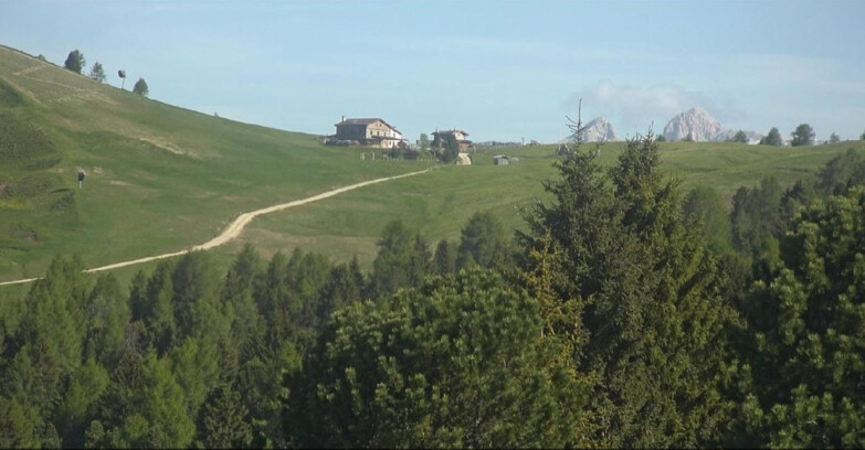 Webcam Белламонте-Альпе-Лусиа  - Pista Dolomitica