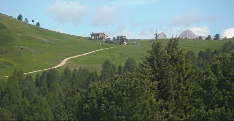 Webcam Bellamonte-Alpe Lusia - Dolomiti slope