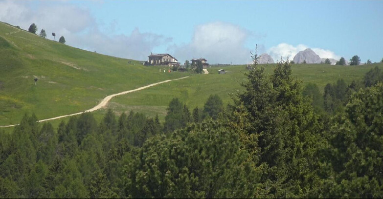 Webcam Bellamonte-Alpe Lusia - Dolomiti slope