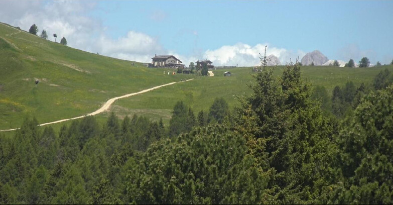 Webcam Bellamonte-Alpe Lusia - Dolomiti slope