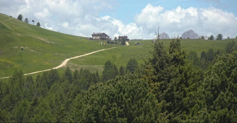 Webcam Bellamonte-Alpe Lusia  - Pista Dolomitica