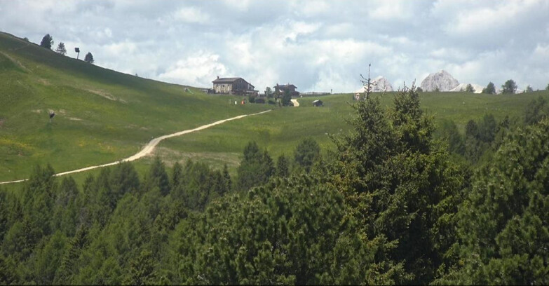 Webcam Bellamonte-Alpe Lusia  - Pista Dolomitica
