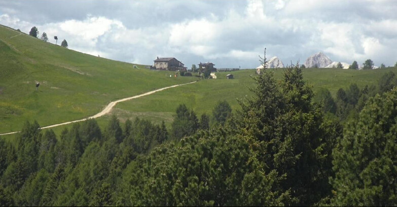 Webcam Bellamonte-Alpe Lusia  - Pista Dolomitica