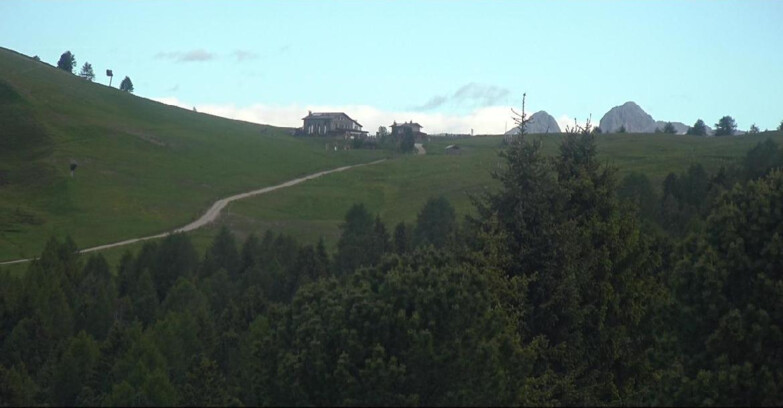 Webcam Bellamonte-Alpe Lusia - Dolomiti slope