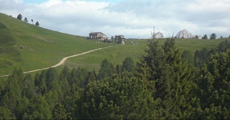 Webcam Bellamonte-Alpe Lusia - Dolomiti slope