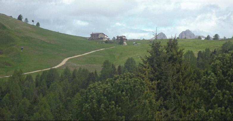 Webcam Bellamonte-Alpe Lusia - Pista Dolomitica