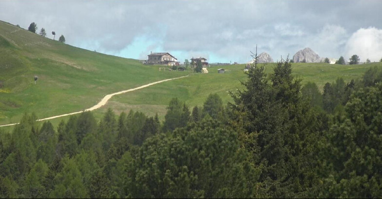 Webcam Bellamonte-Alpe Lusia - Pista Dolomitica