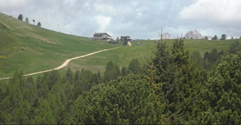 Webcam Bellamonte-Alpe Lusia - Pista Dolomitica
