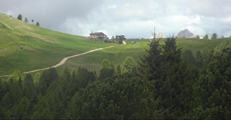 Webcam Bellamonte-Alpe Lusia - Pista Dolomitica