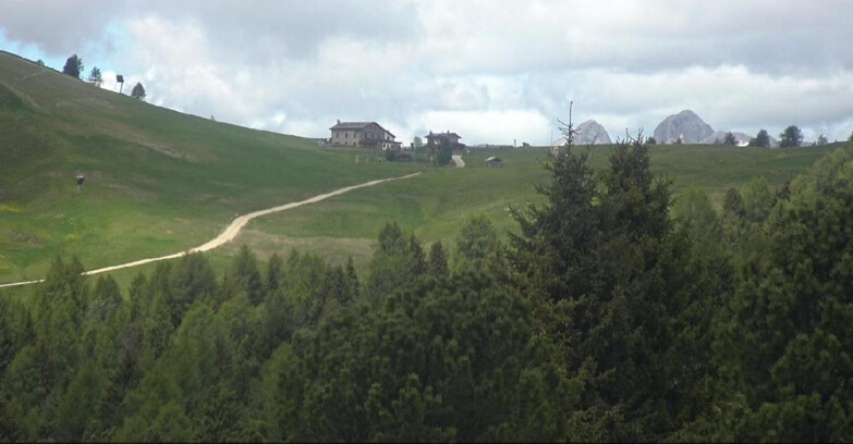 Webcam Bellamonte-Alpe Lusia - Pista Dolomitica