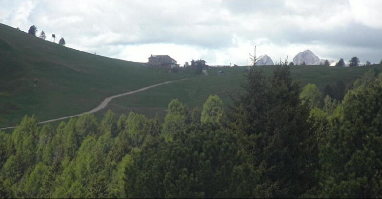 Webcam Bellamonte-Alpe Lusia - Pista Dolomitica