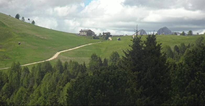 Webcam Bellamonte-Alpe Lusia - Pista Dolomitica
