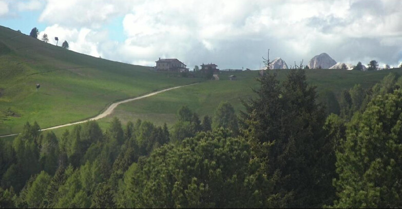 Webcam Bellamonte-Alpe Lusia - Pista Dolomitica