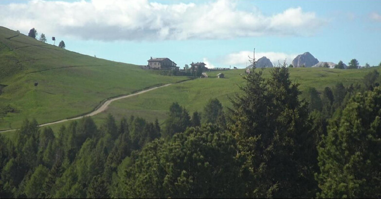 Webcam Bellamonte-Alpe Lusia - Pista Dolomitica