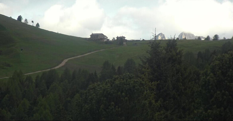 Webcam Bellamonte-Alpe Lusia - Pista Dolomitica