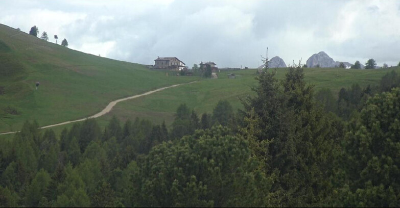 Webcam Bellamonte-Alpe Lusia - Pista Dolomitica