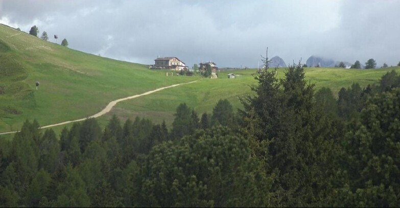 Webcam Bellamonte-Alpe Lusia - Pista Dolomitica