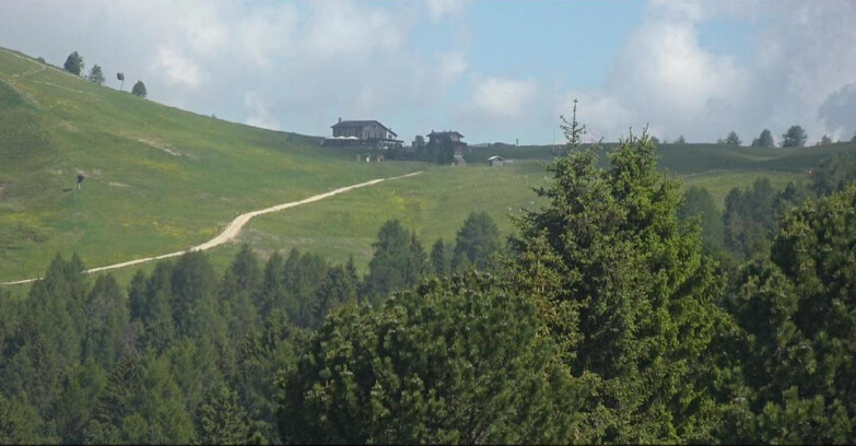 Webcam Bellamonte-Alpe Lusia  - Pista Dolomitica