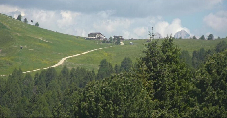 Webcam Bellamonte-Alpe Lusia  - Pista Dolomitica