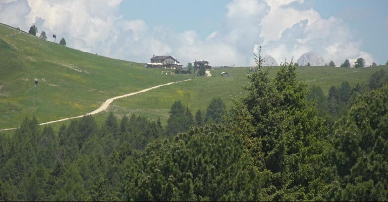 Webcam Bellamonte-Alpe Lusia  - Pista Dolomitica